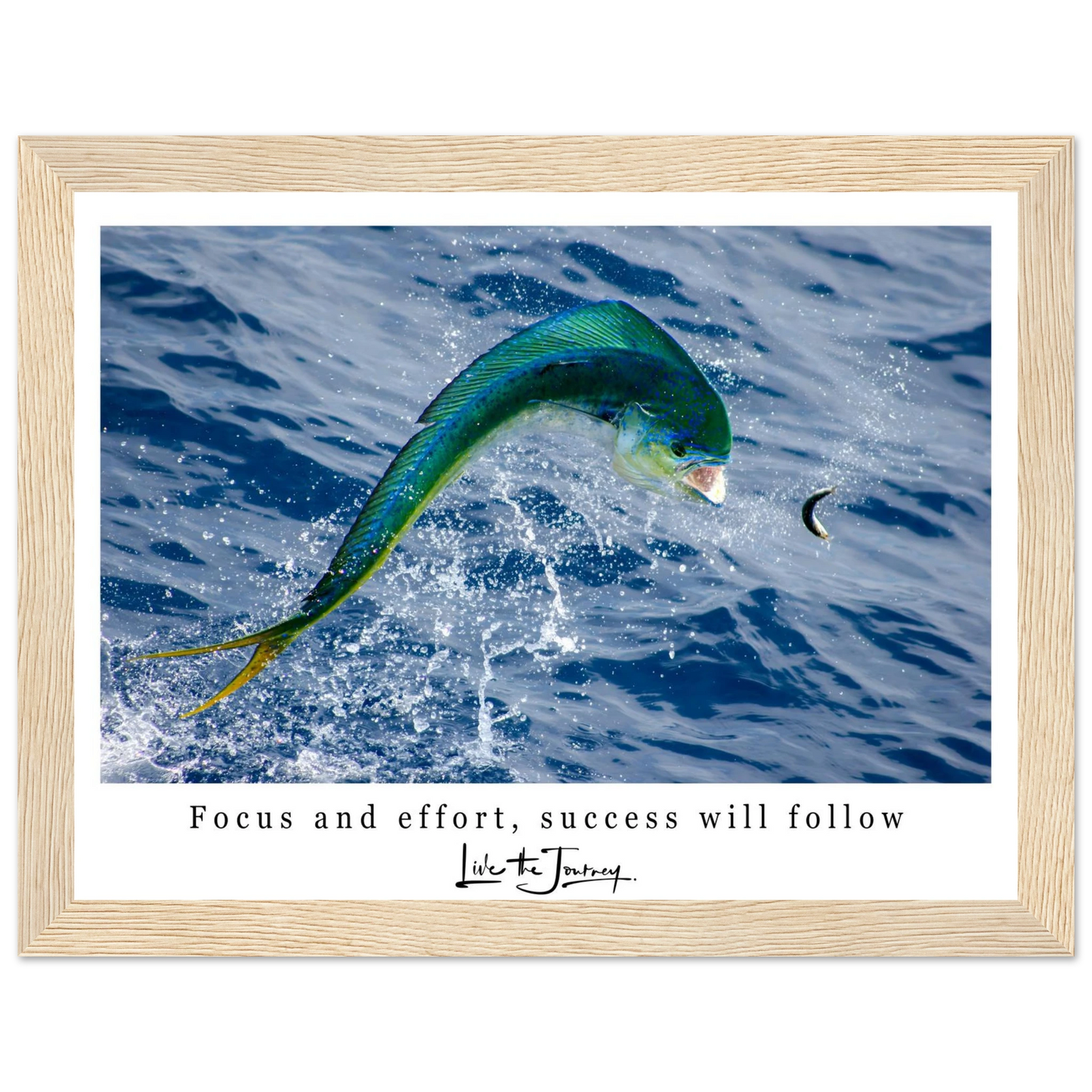 3f7c9197-3df6-4524-93bc-ece38f8ae12f