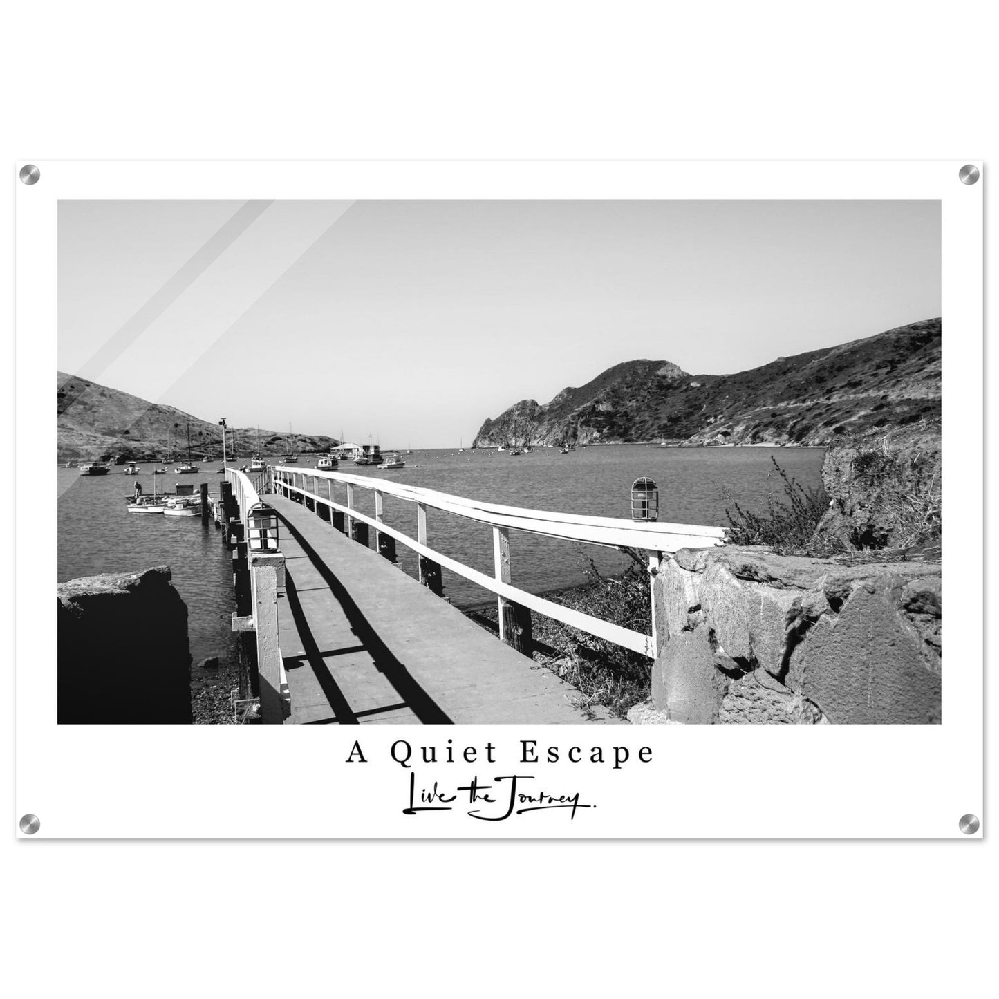 6ada4f09-e350-45c0-8abf-a161646c2998