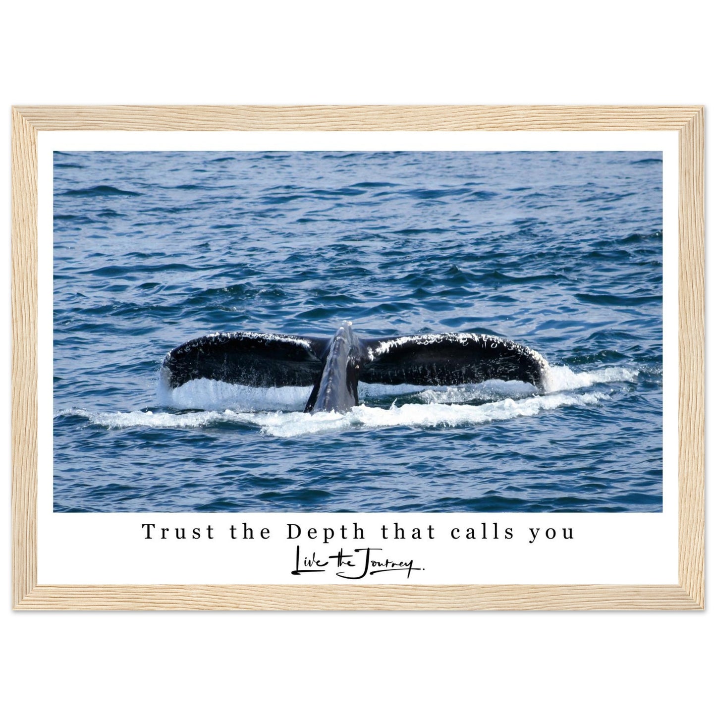9918081b-4d59-4191-80f0-21d86da2eb33