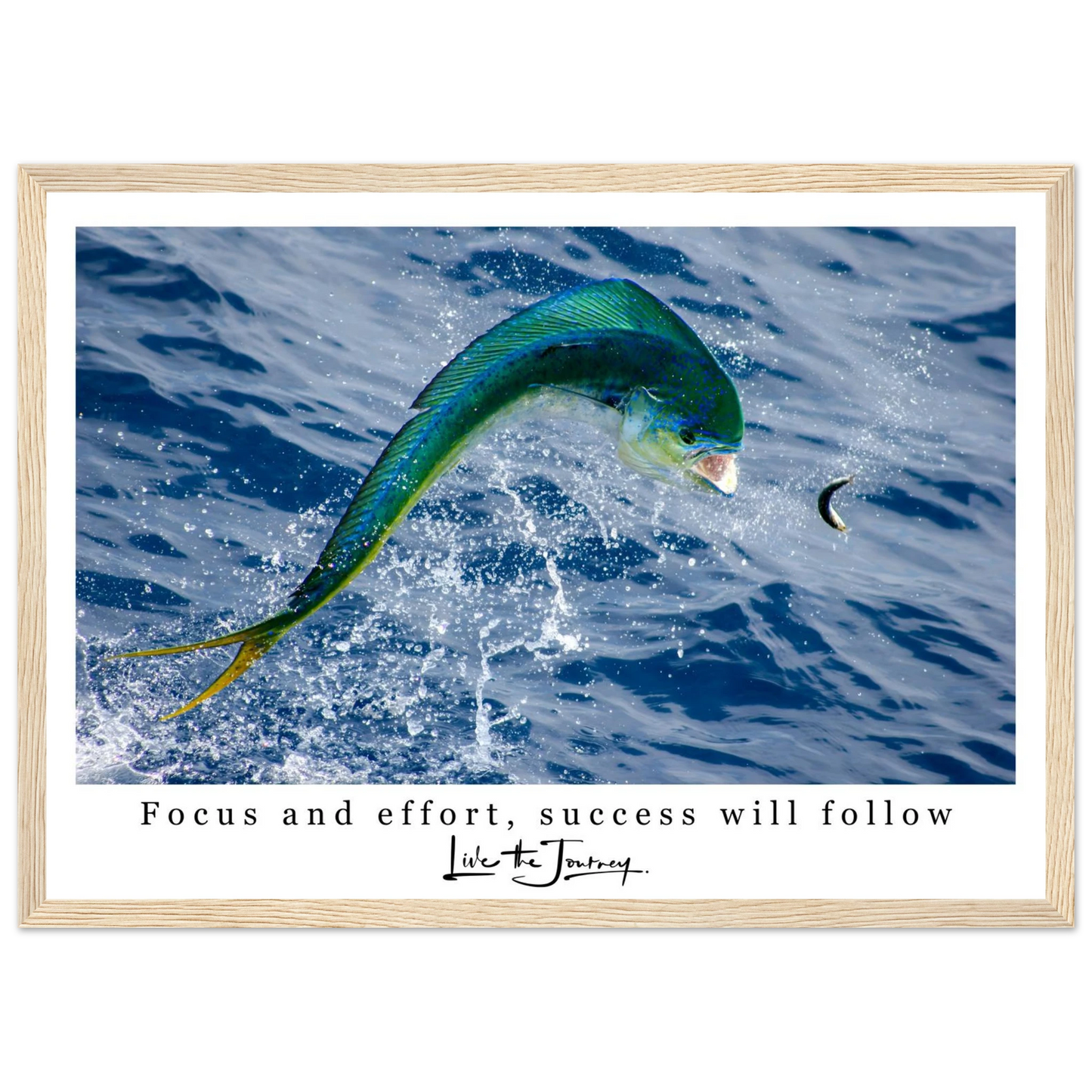 d4b42241-27ea-4120-a716-c22e9f9e320f