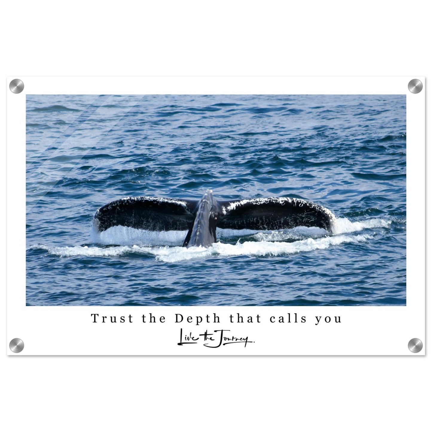 d6831325-d8b2-42ec-b692-39130823e989