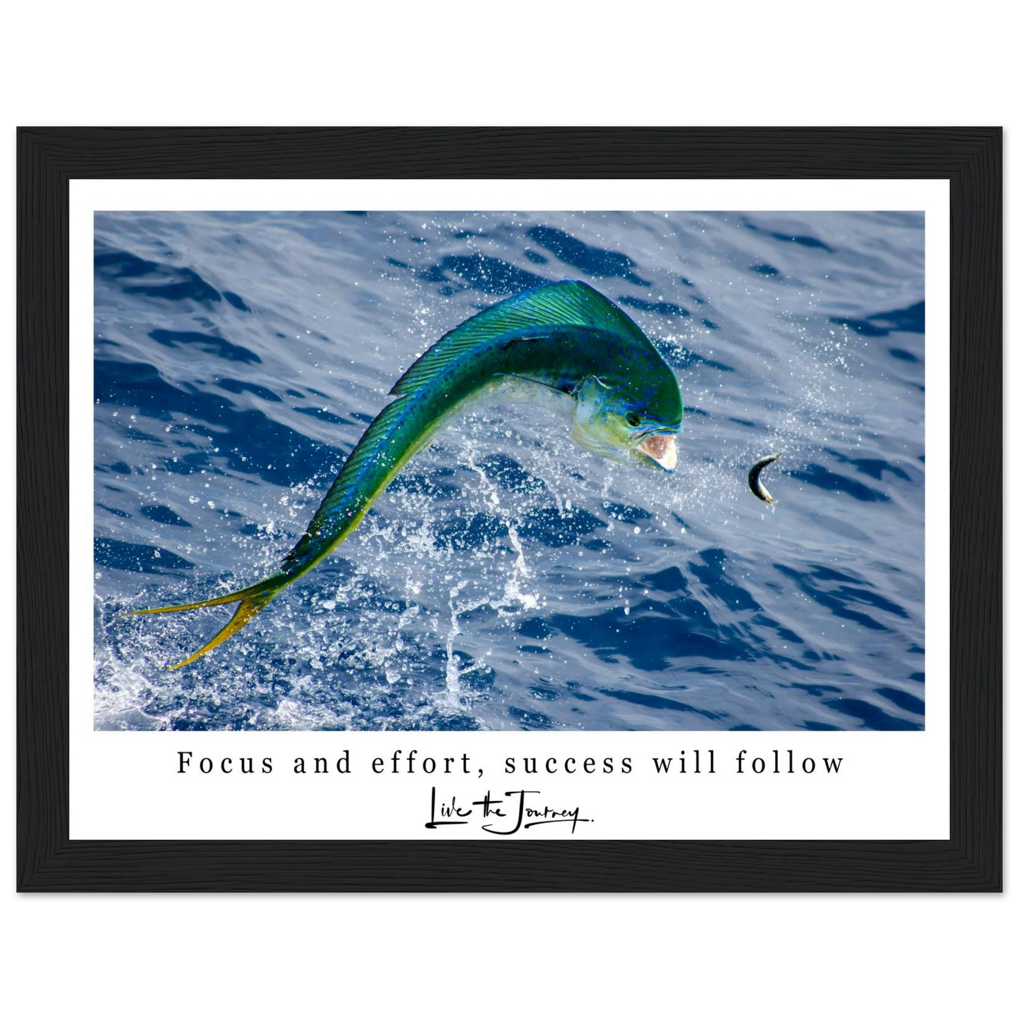 eace6b06-38e6-49ca-acf5-8c8fa5d5cda8