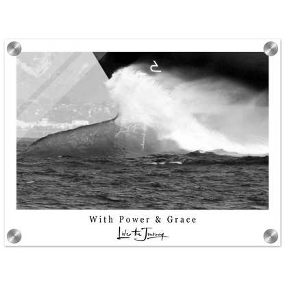 96197060-1c48-4134-95c9-ae60d2de3710