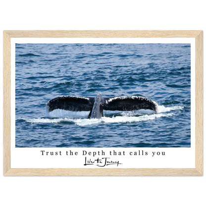 9918081b-4d59-4191-80f0-21d86da2eb33