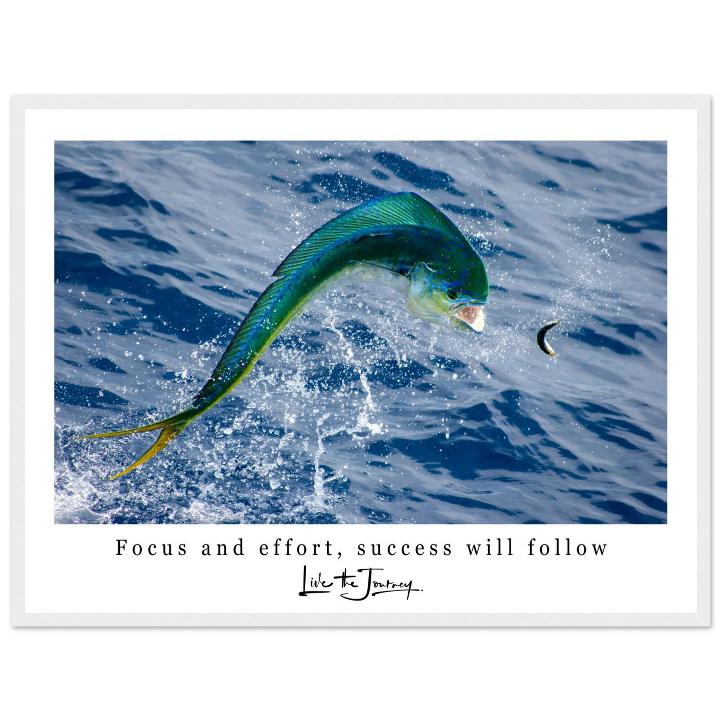 cddbf62f-08f2-4880-a86f-056d6554e2e2