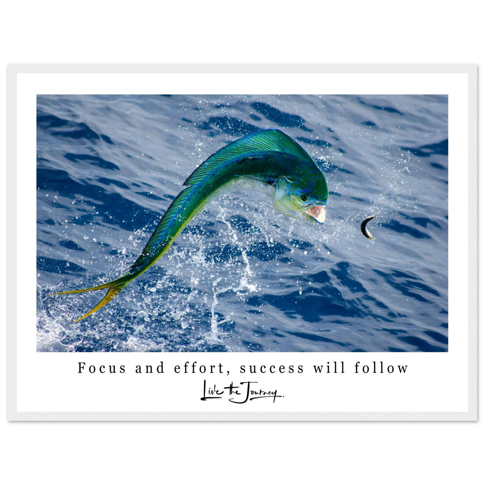 cddbf62f-08f2-4880-a86f-056d6554e2e2
