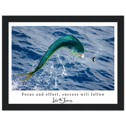 eace6b06-38e6-49ca-acf5-8c8fa5d5cda8